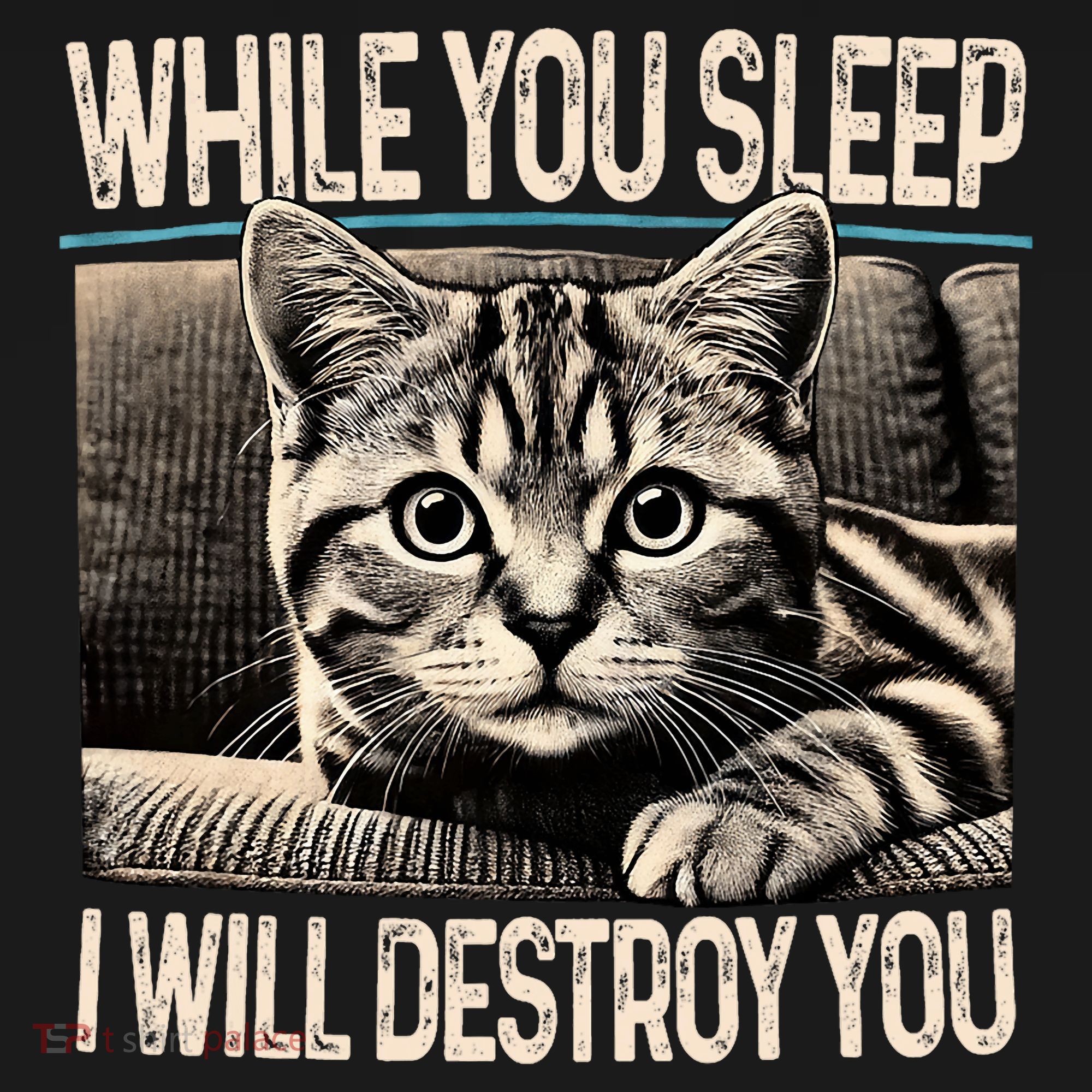 Funny Graphic While You Sleep I Will Destroy You Cat Bucket Hat
