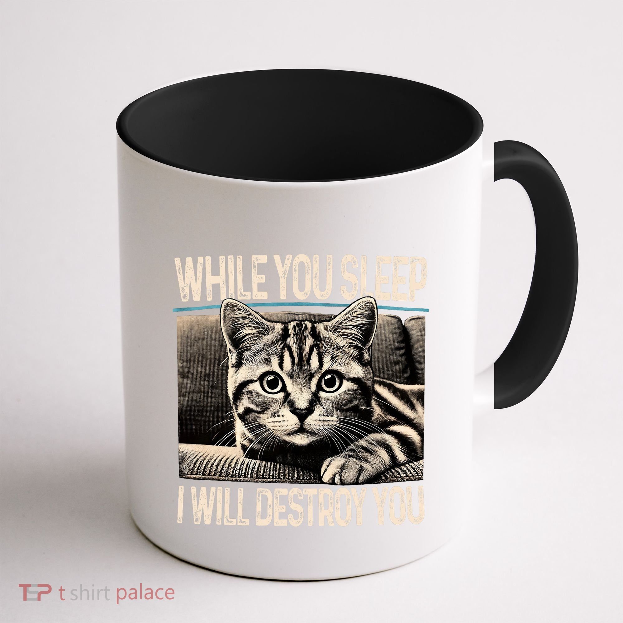Funny Graphic While You Sleep I Will Destroy You Cat Coffee Mug