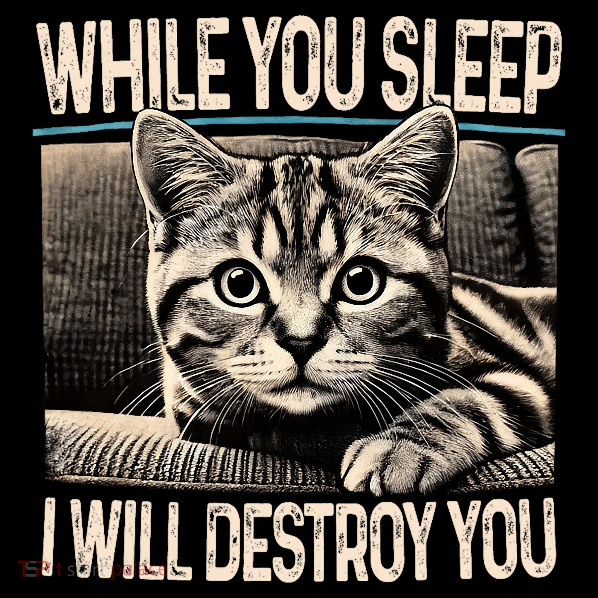 Funny Graphic While You Sleep I Will Destroy You Cat Women's Hoodie