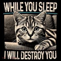 Funny Graphic While You Sleep I Will Destroy You Cat Ornament thumb 1