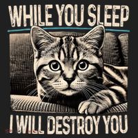 Funny Graphic While You Sleep I Will Destroy You Cat Hat thumb 2