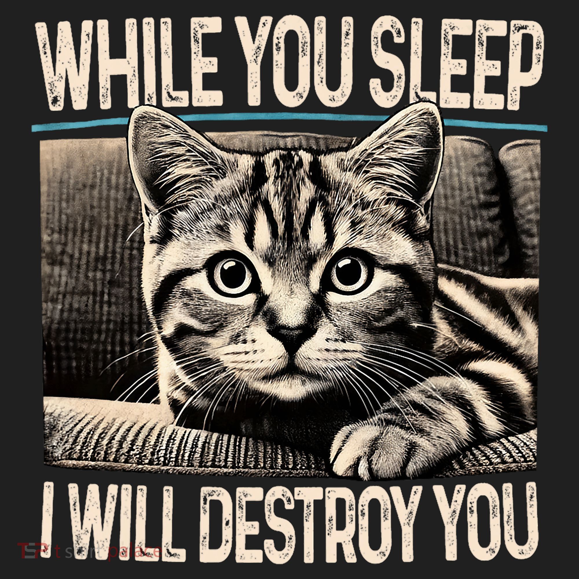 Funny Graphic While You Sleep I Will Destroy You Cat Hat