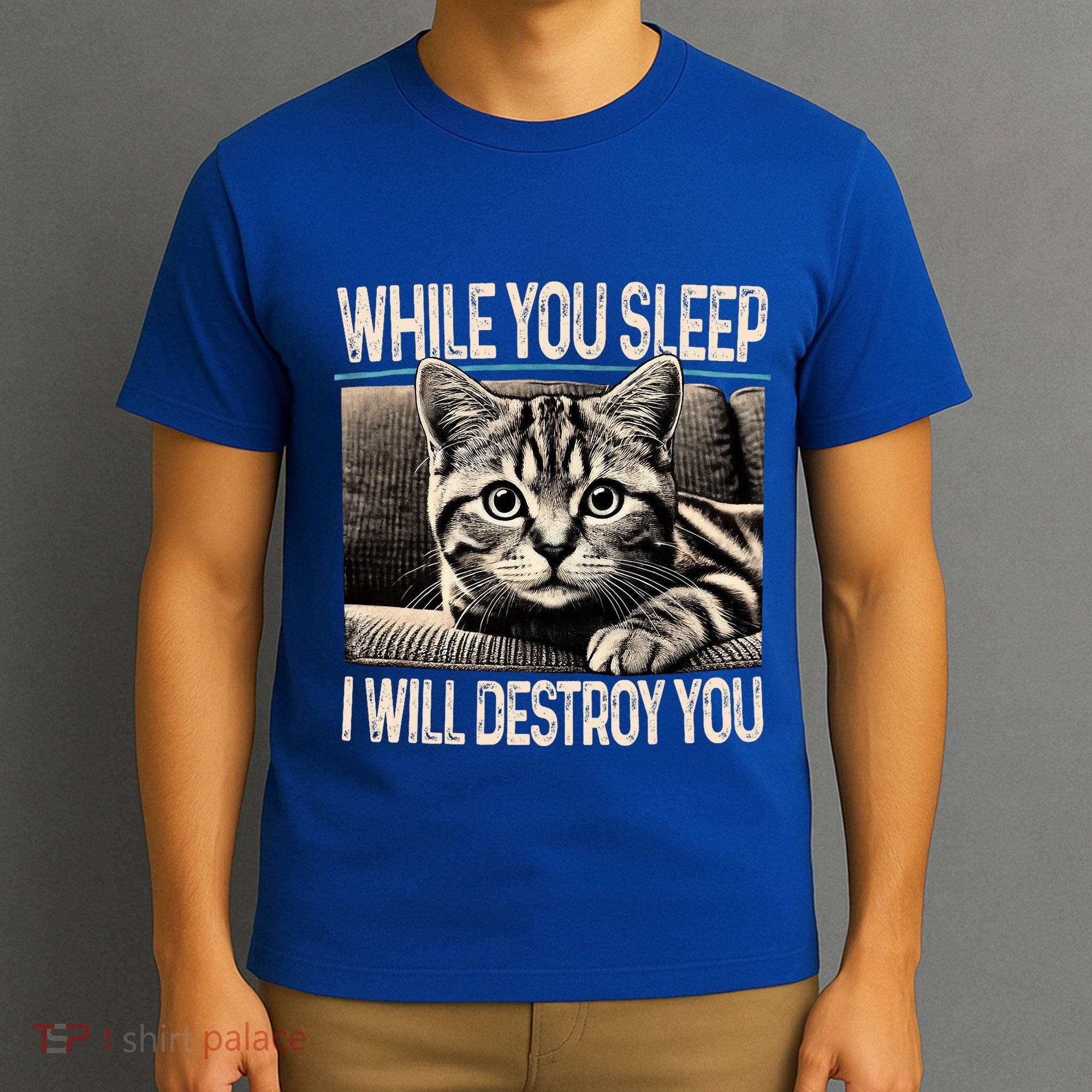 Funny Graphic While You Sleep I Will Destroy You Cat T-Shirt