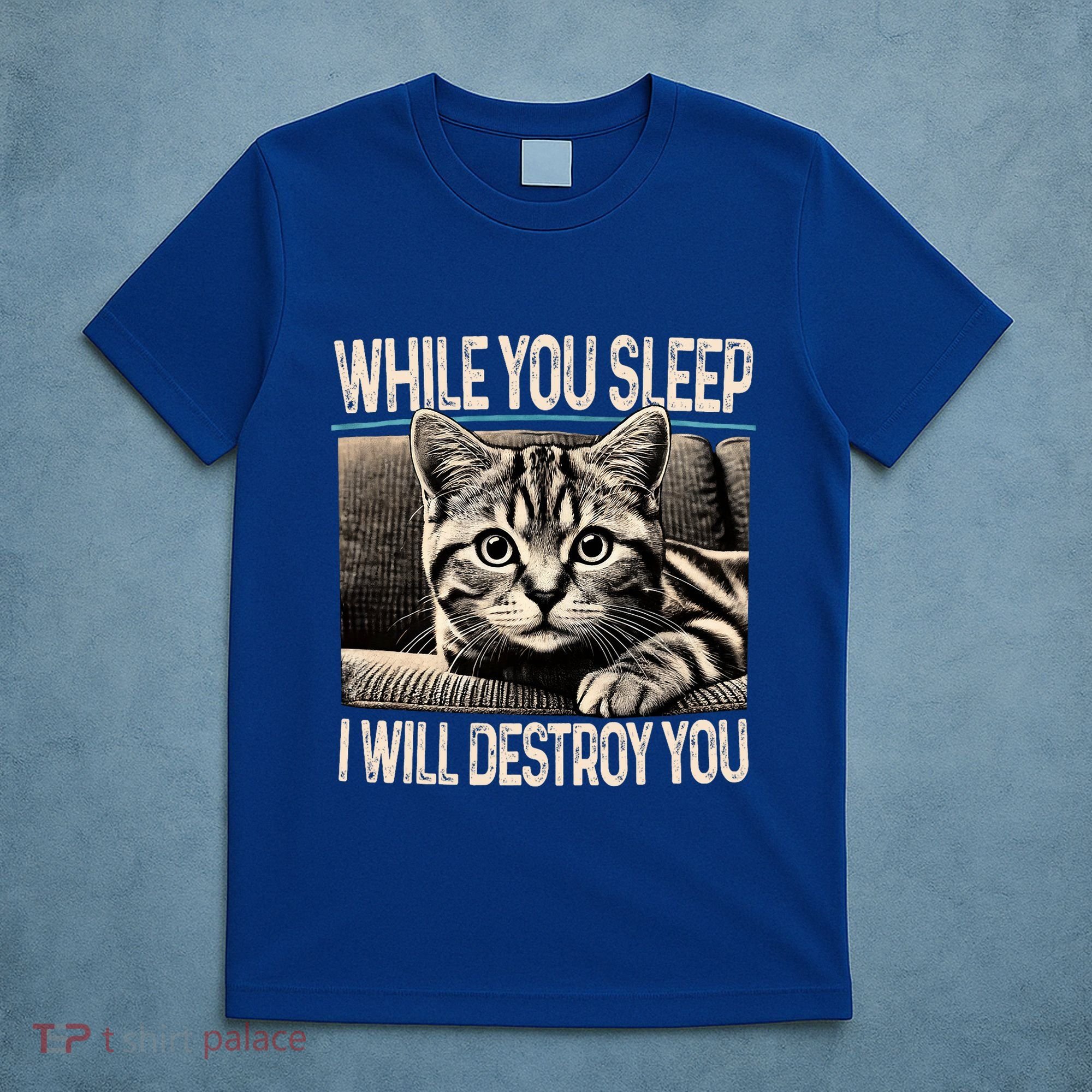 Funny Graphic While You Sleep I Will Destroy You Cat T-Shirt