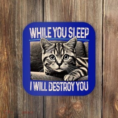 Funny Graphic While You Sleep I Will Destroy You Cat Coaster