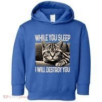 Funny Graphic While You Sleep I Will Destroy You Cat Toddler Hoodie thumb 0