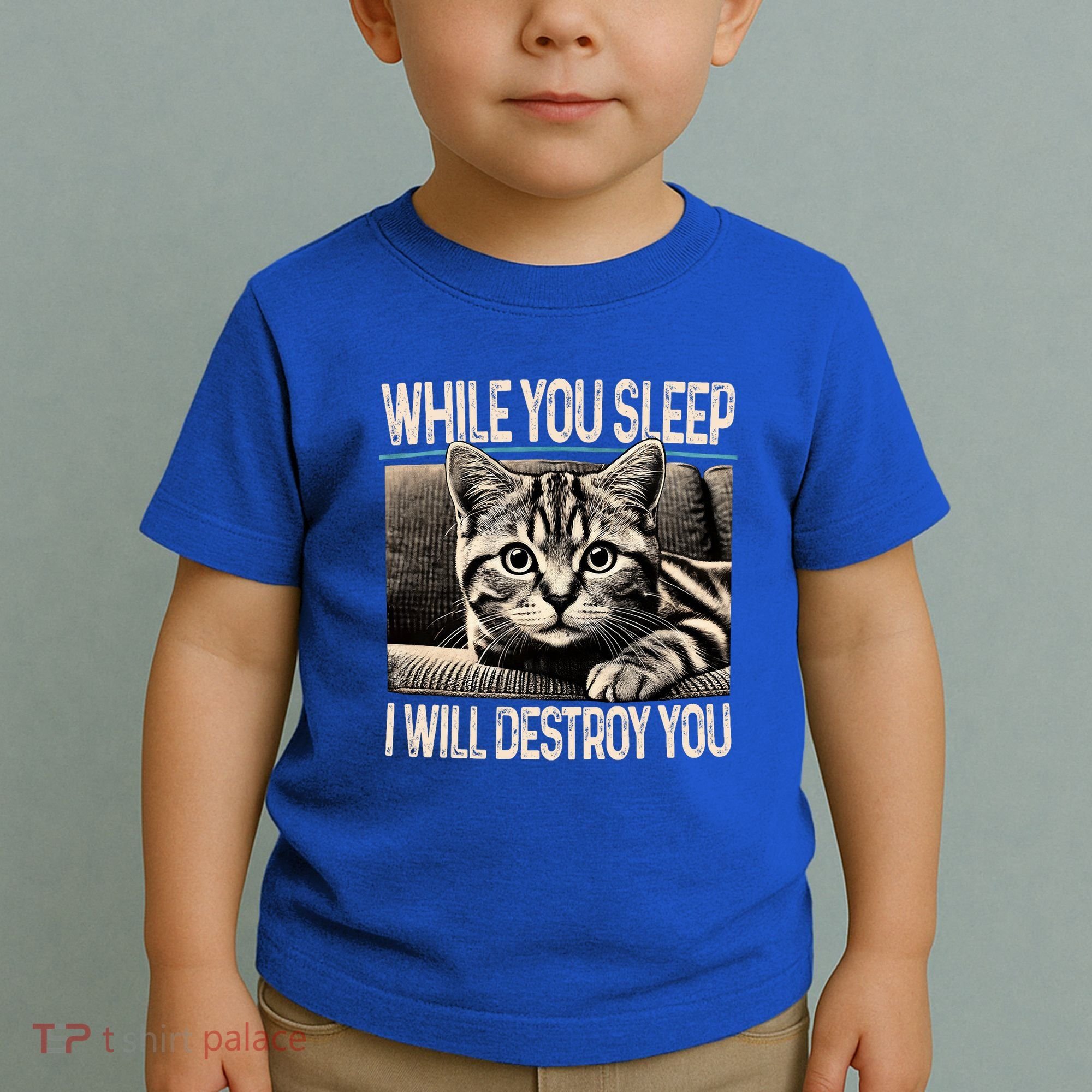 Funny Graphic While You Sleep I Will Destroy You Cat Toddler T-Shirt