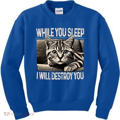 Funny Graphic While You Sleep I Will Destroy You Cat Kids Sweatshirt