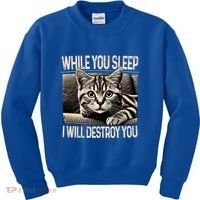 Funny Graphic While You Sleep I Will Destroy You Cat Kids Sweatshirt thumb 0