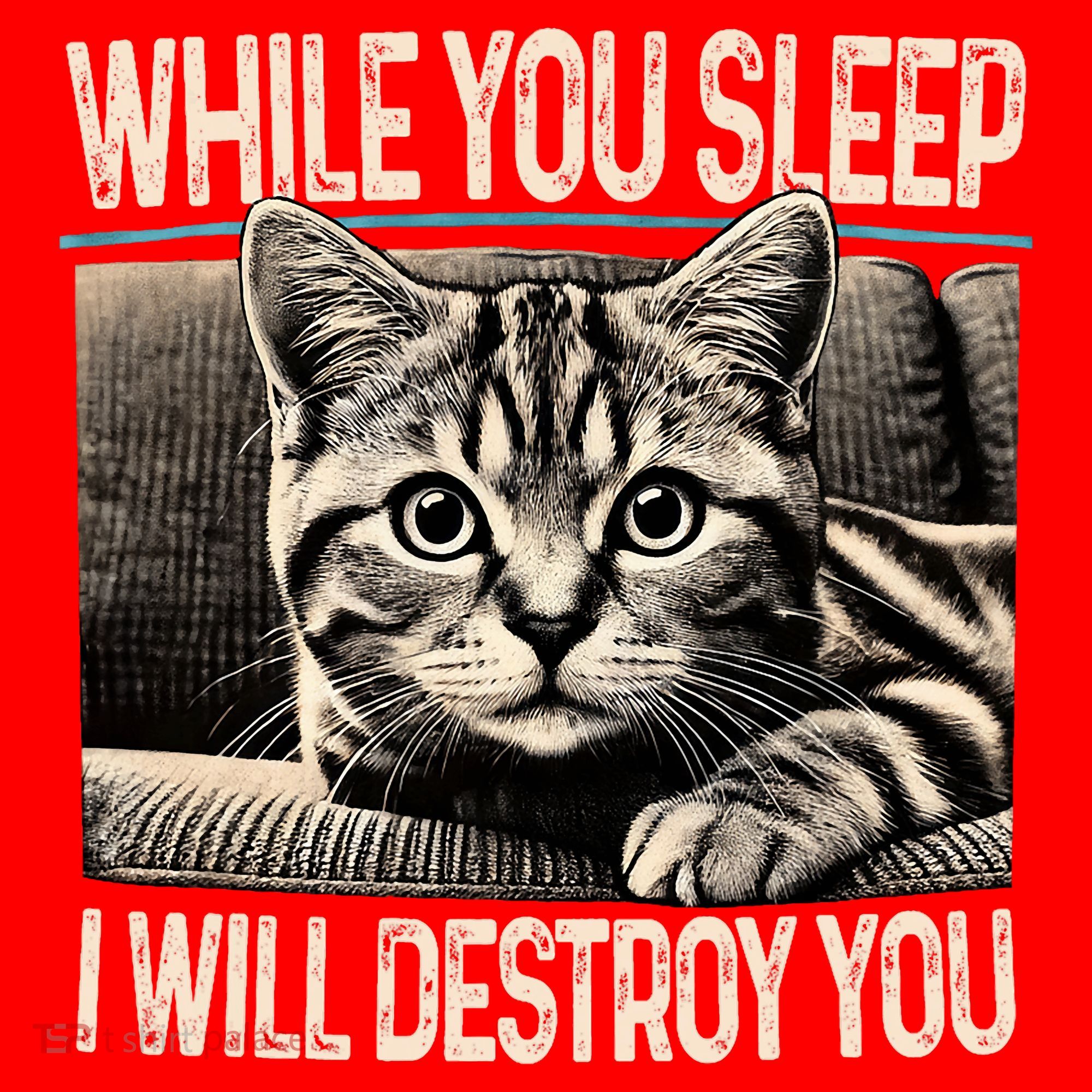 Funny Graphic While You Sleep I Will Destroy You Cat Santa Hat
