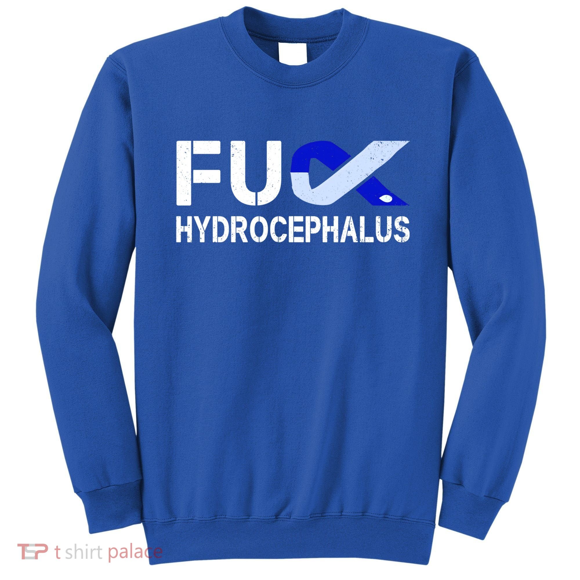 Fuck Hydrocephalus Awareness Month Ribbon Warrior Fighter Cool Gift Sweatshirt