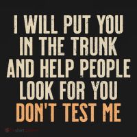 Funny Humor Adult Quote I Will Put You In The Trunk Gift T-Shirt thumb 7