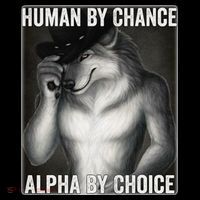 Funny Human By Chance Alpha By Choice Cool Alpha Wolf Meme Kids Sweatshirt thumb 2