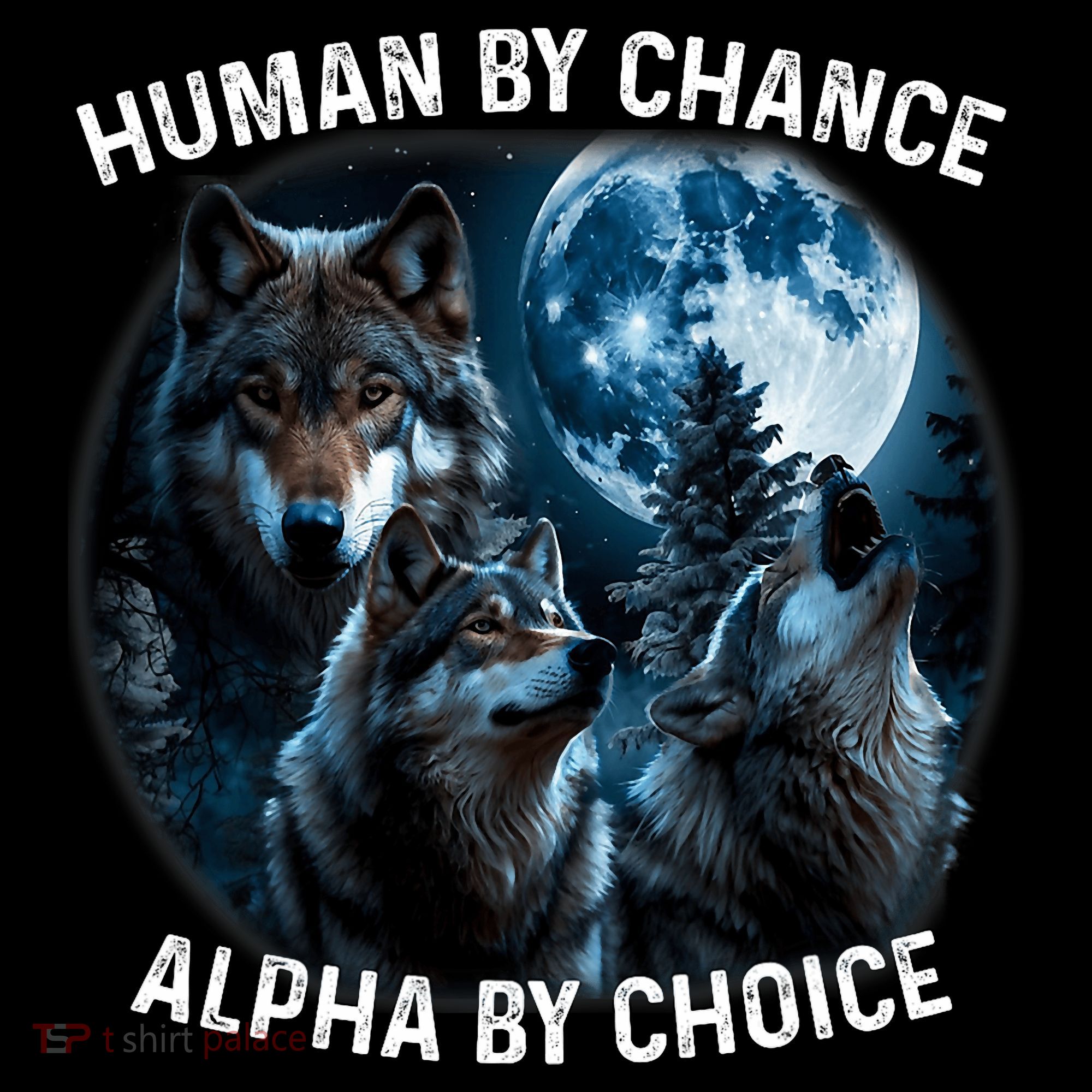 Funny Human By Chance Alpha By Choice Wolf Women's Hoodie