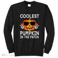 Funny Halloween Coolest Pumpkin In The Patch Glasses Gift Sweatshirt thumb 0