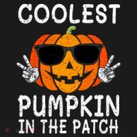 Funny Halloween Coolest Pumpkin In The Patch Glasses Gift Coaster thumb 2
