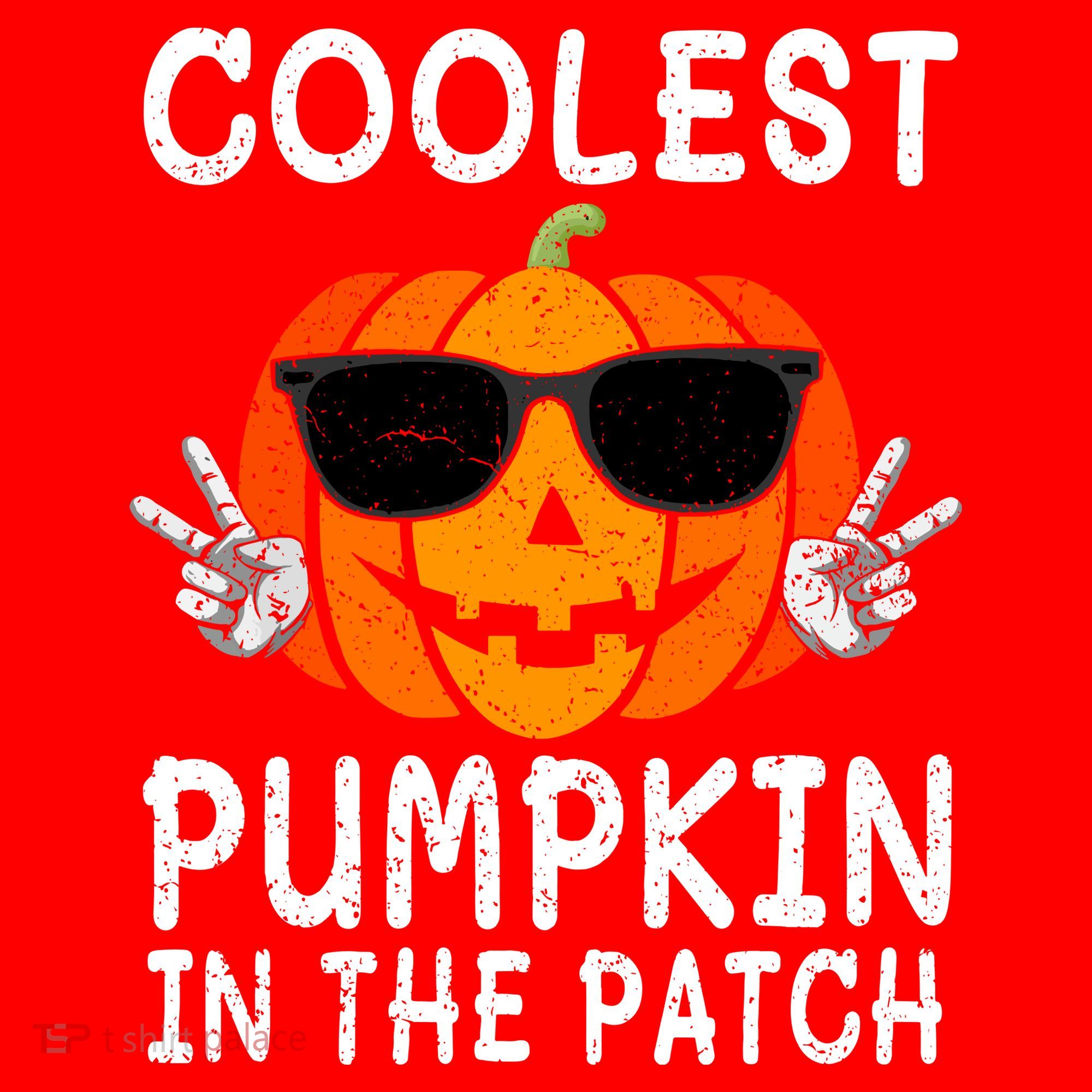 Funny Halloween Coolest Pumpkin In The Patch Glasses Gift Santa Hat