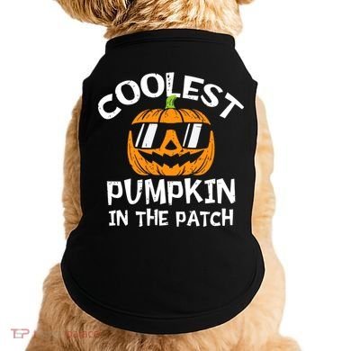 Funny Halloween Coolest Pumpkin In The Patch Cute Gift Doggie Tank
