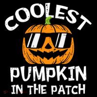 Funny Halloween Coolest Pumpkin In The Patch Cute Gift Women's Hoodie thumb 2