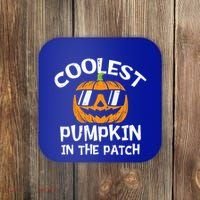 Funny Halloween Coolest Pumpkin In The Patch Cute Gift Coaster thumb 0