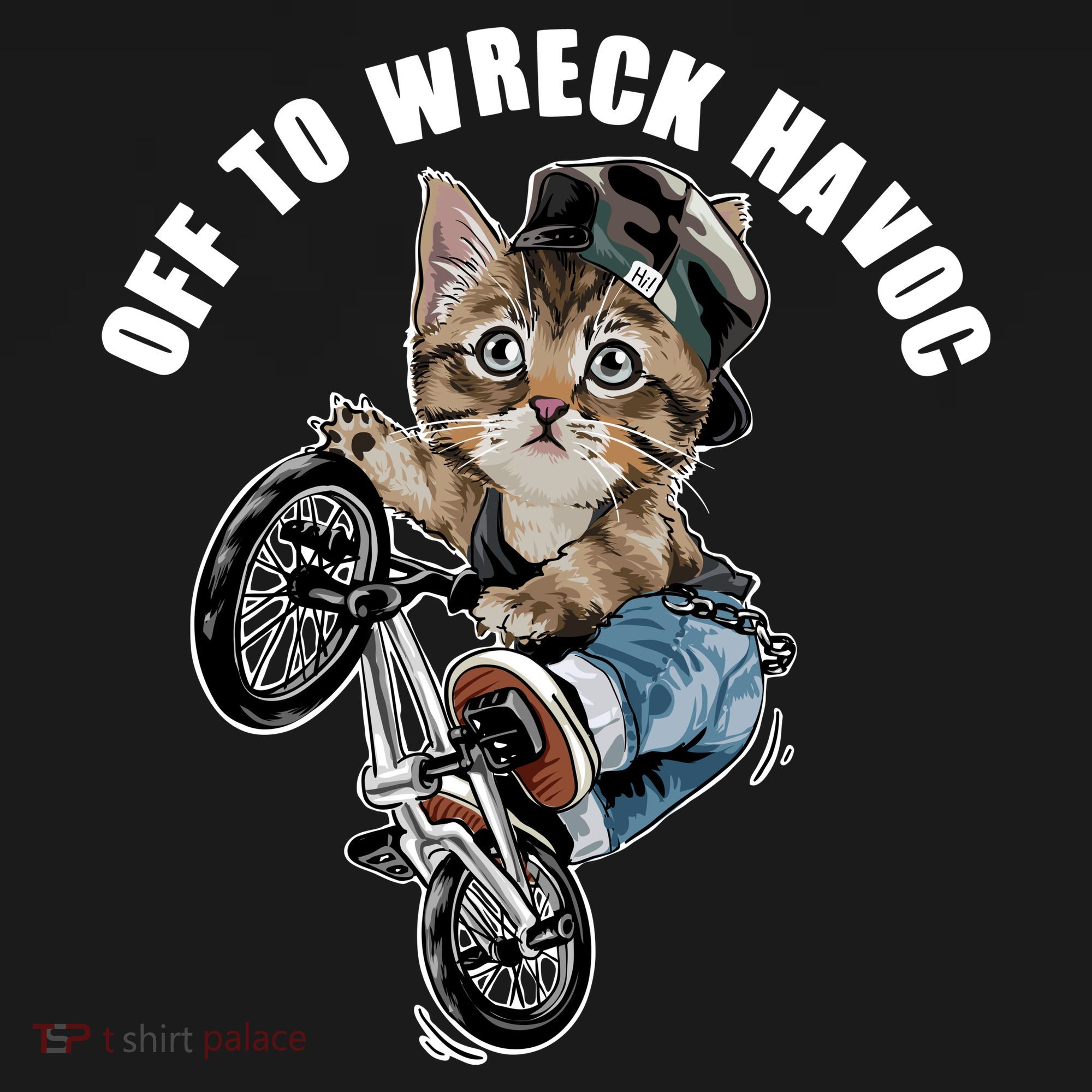 Funny Hiphop Cat Off To Wreck Havoc Coaster