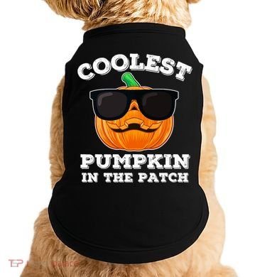 Funny Halloween Coolest Pumpkin In The Patch Gift Doggie Tank