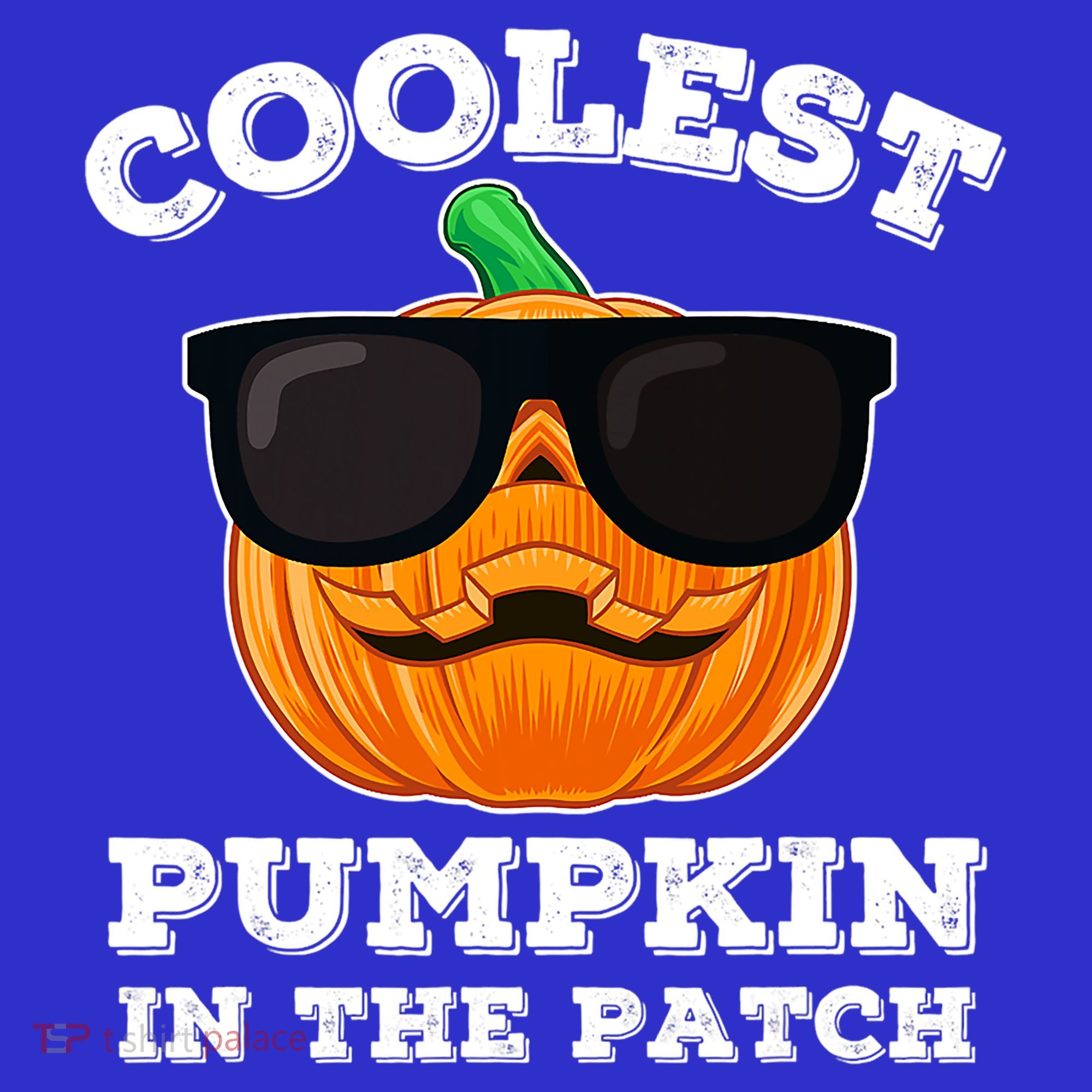 Funny Halloween Coolest Pumpkin In The Patch Gift Hoodie