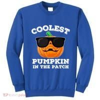 Funny Halloween Coolest Pumpkin In The Patch Gift Sweatshirt thumb 0