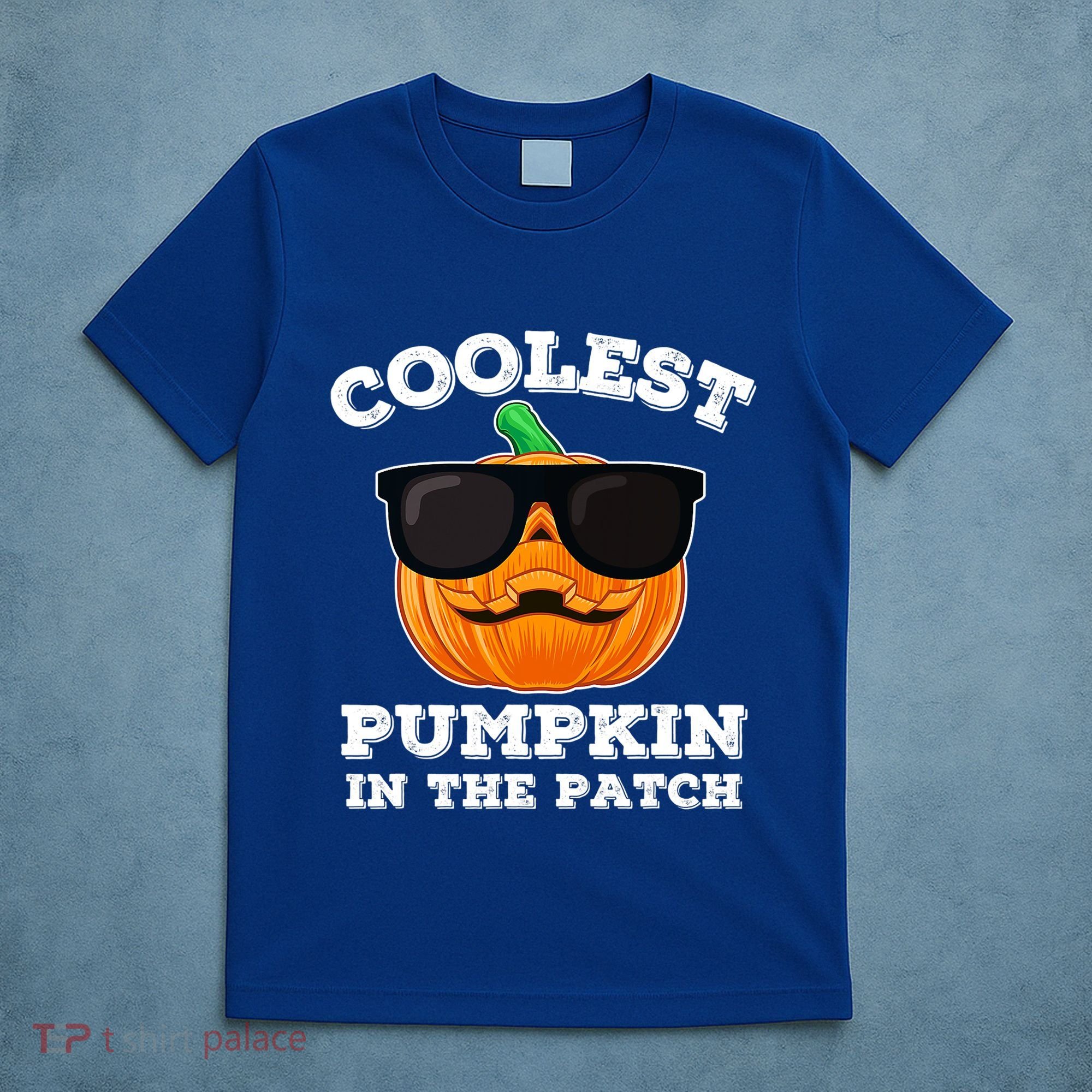 Funny Halloween Coolest Pumpkin In The Patch Gift T-Shirt