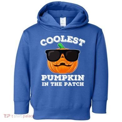 Funny Halloween Coolest Pumpkin In The Patch Gift Toddler Hoodie