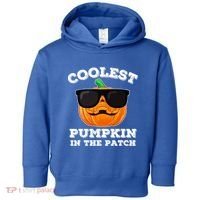 Funny Halloween Coolest Pumpkin In The Patch Gift Toddler Hoodie thumb 0