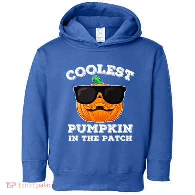 Toddler Hoodie