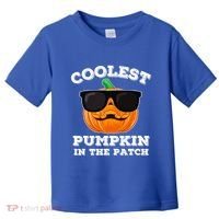 Funny Halloween Coolest Pumpkin In The Patch Gift Toddler T-Shirt thumb 0