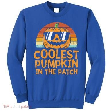 Funny Halloween Coolest Pumpkin In The Patch Cute Gift Sweatshirt