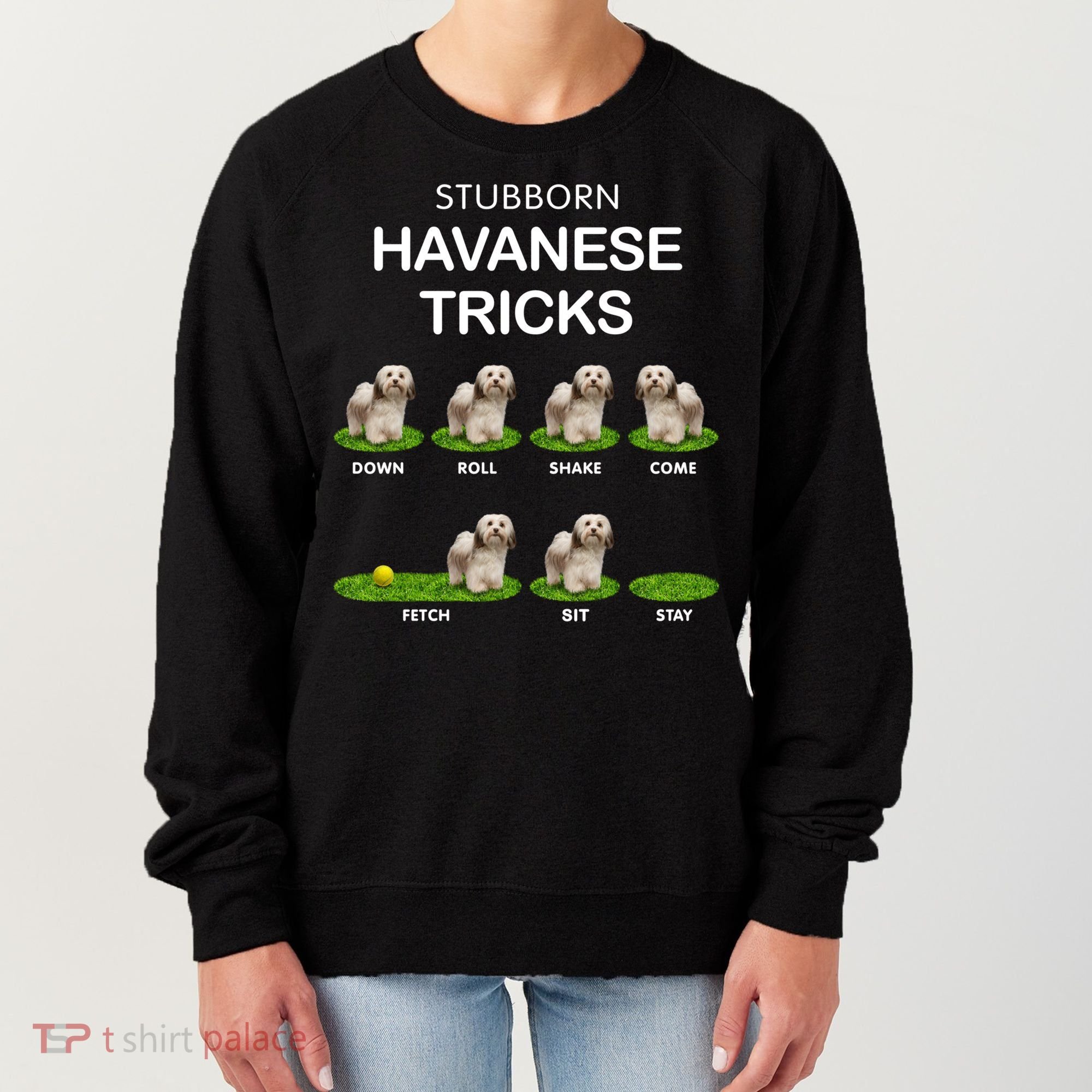 Funky Headed Dog Meaningful Gift Funny Havanese For Christmas Cool Gift Women's Sweatshirt