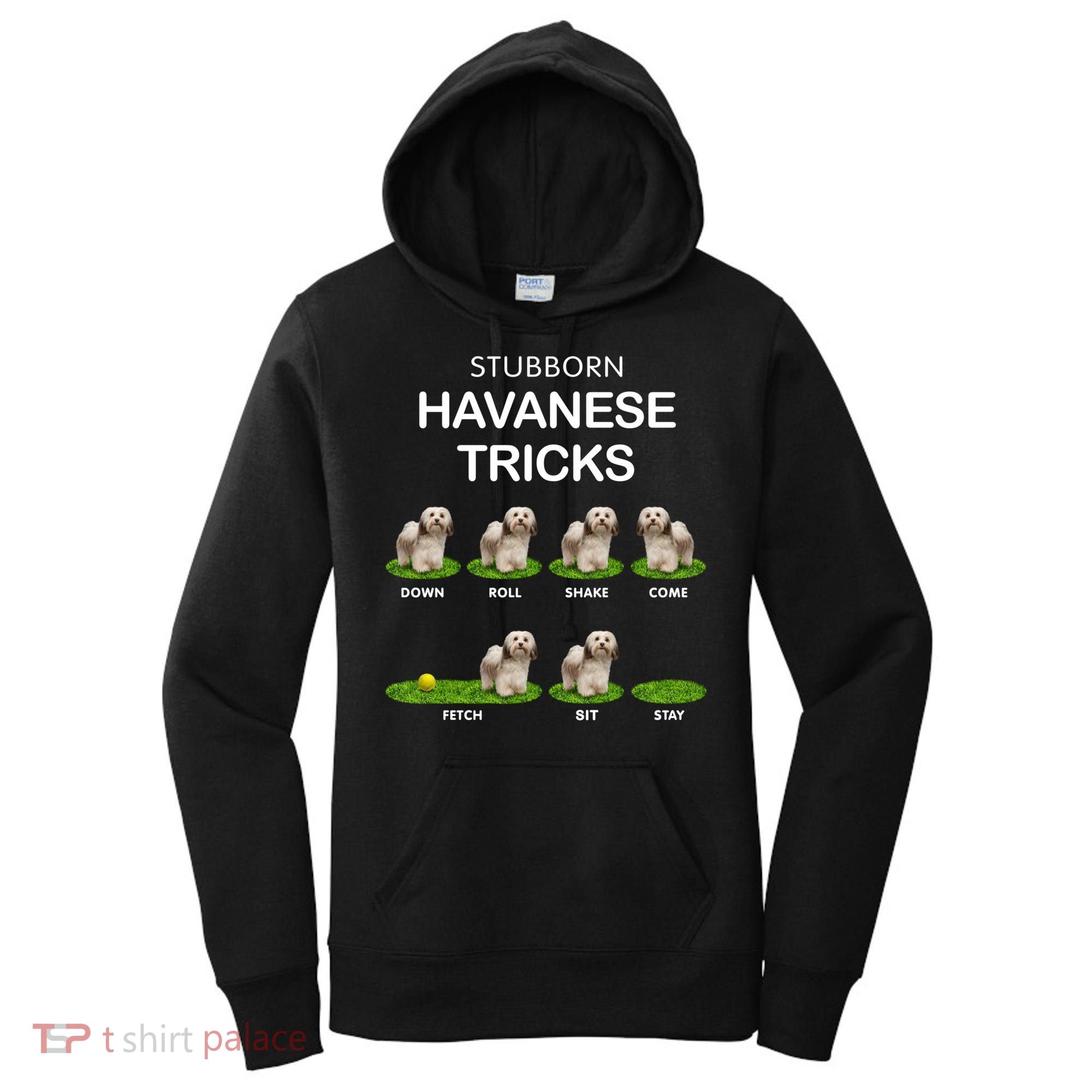 Funky Headed Dog Meaningful Gift Funny Havanese For Christmas Cool Gift Women's Hoodie