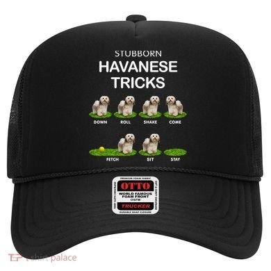Funky Headed Dog Meaningful Gift Funny Havanese For Christmas Cool Gift Hat