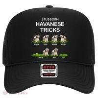 Funky Headed Dog Meaningful Gift Funny Havanese For Christmas Cool Gift Hat thumb 0