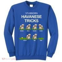 Funky Headed Dog Meaningful Gift Funny Havanese For Christmas Cool Gift Sweatshirt thumb 0
