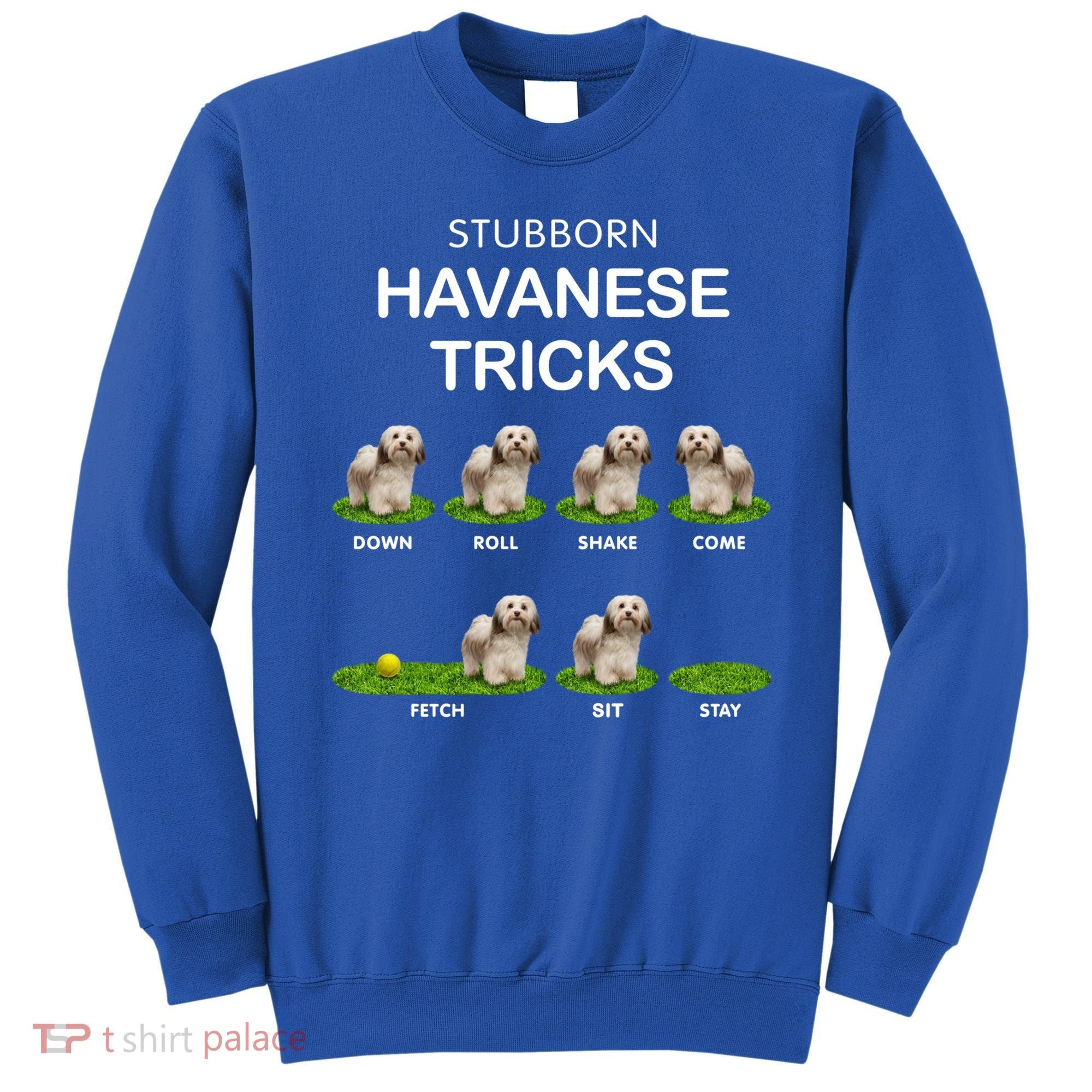 Funky Headed Dog Meaningful Gift Funny Havanese For Christmas Cool Gift Sweatshirt