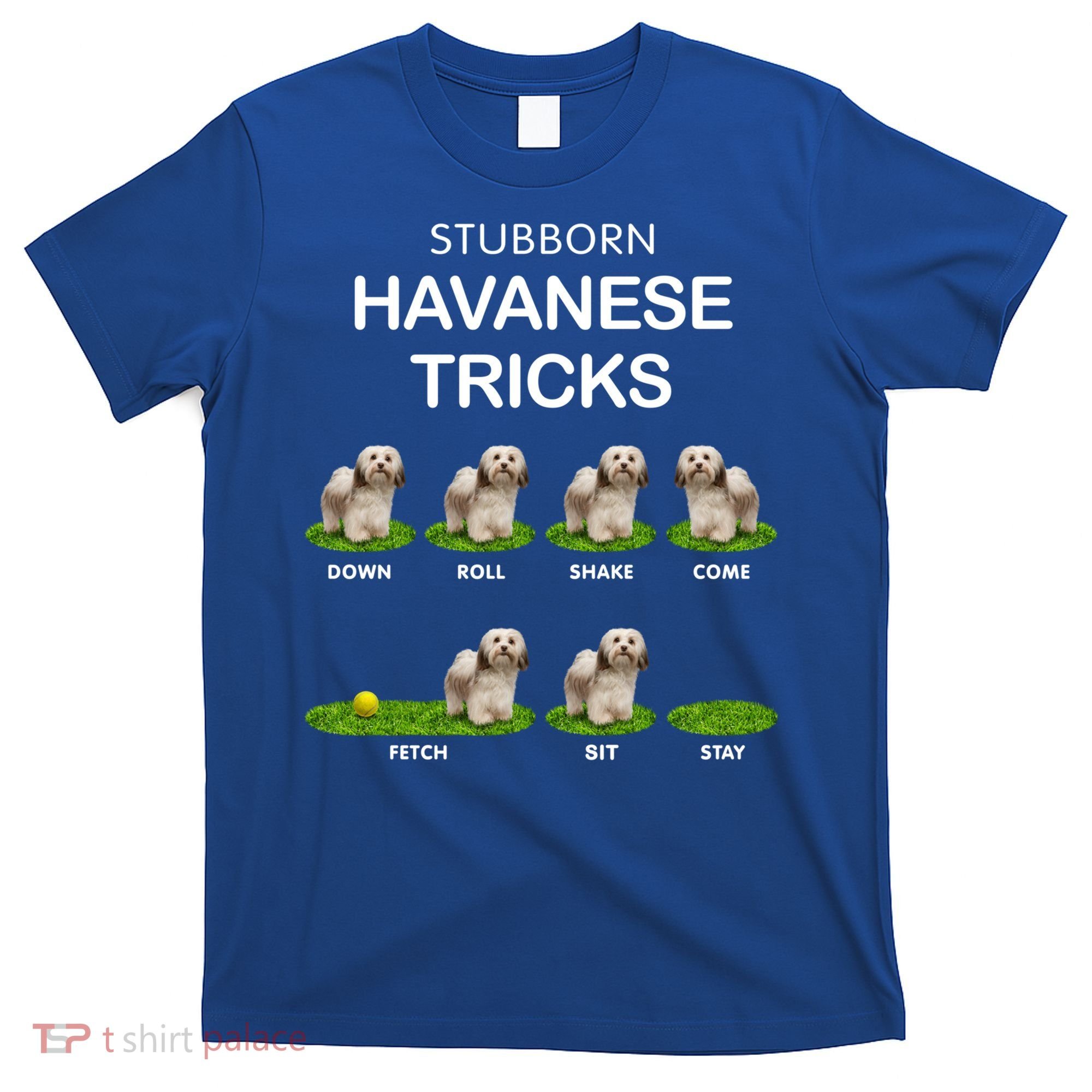Funky Headed Dog Meaningful Gift Funny Havanese For Christmas Cool Gift T-Shirt