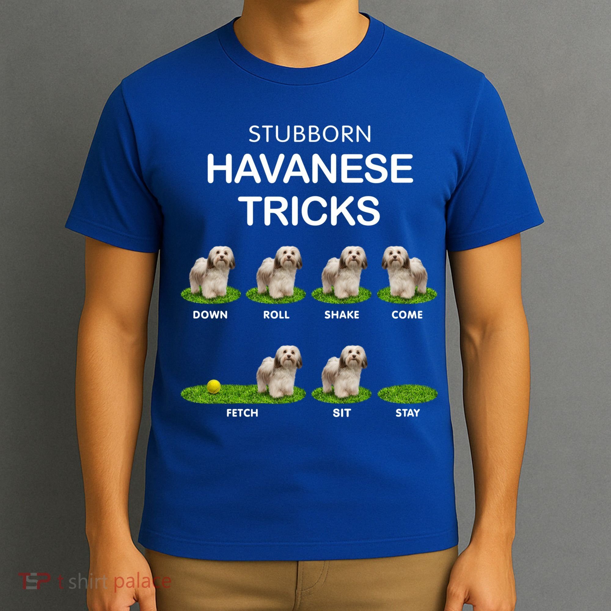 Funky Headed Dog Meaningful Gift Funny Havanese For Christmas Cool Gift T-Shirt