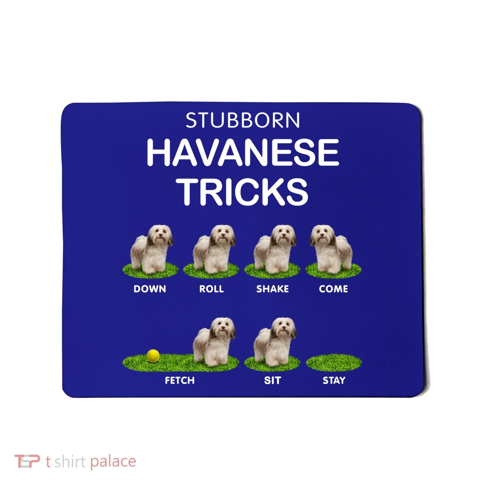 Funky Headed Dog Meaningful Gift Funny Havanese For Christmas Cool Gift Mousepad