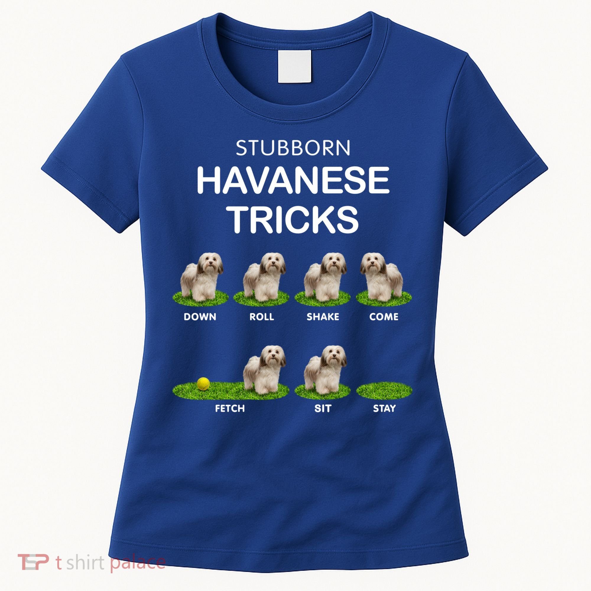 Funky Headed Dog Meaningful Gift Funny Havanese For Christmas Cool Gift Women's T-Shirt