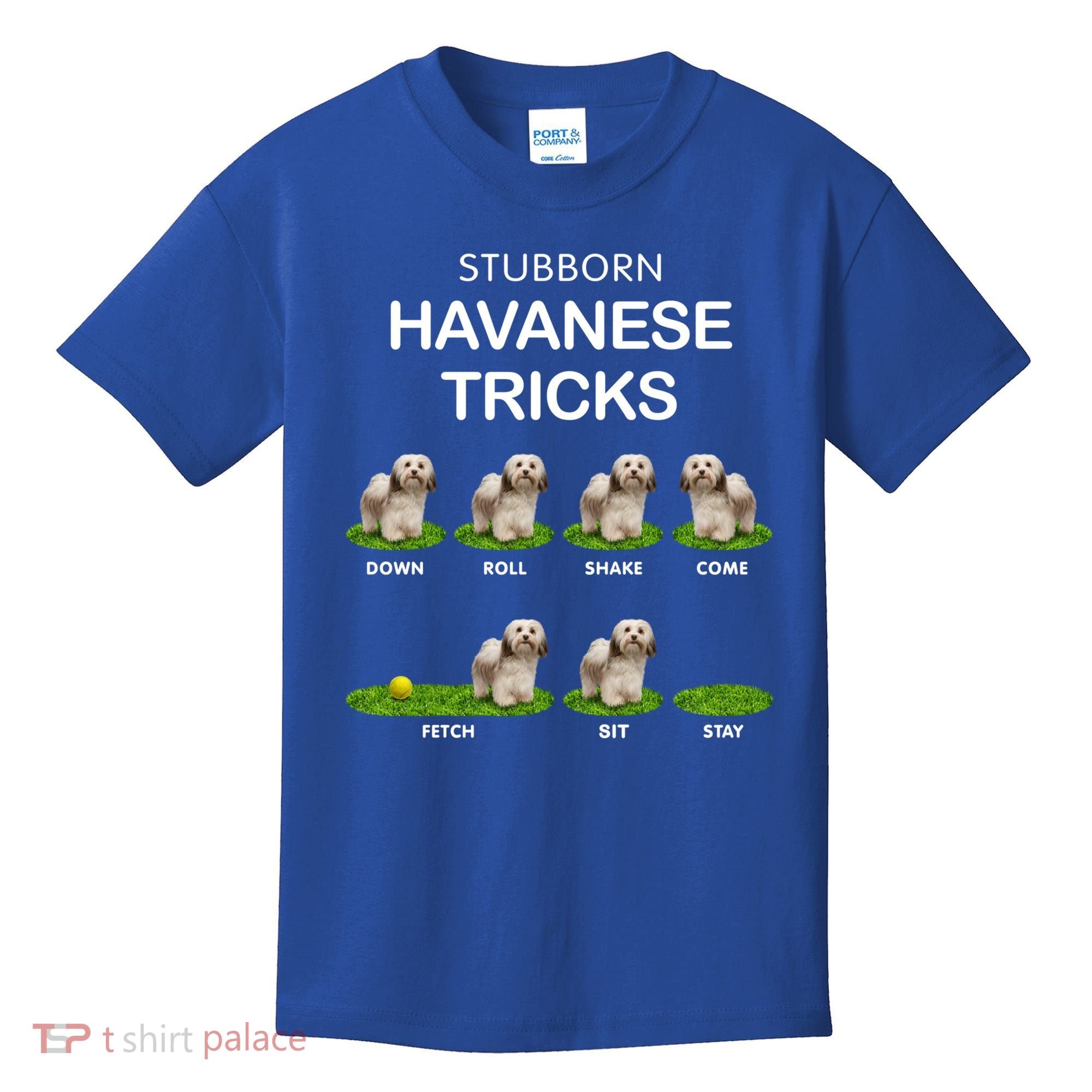 Funky Headed Dog Meaningful Gift Funny Havanese For Christmas Cool Gift Kids T-Shirt