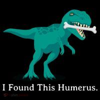 Funny Halloween Dinosaur I Found This Humerus Costume Gift Women's Hoodie thumb 2