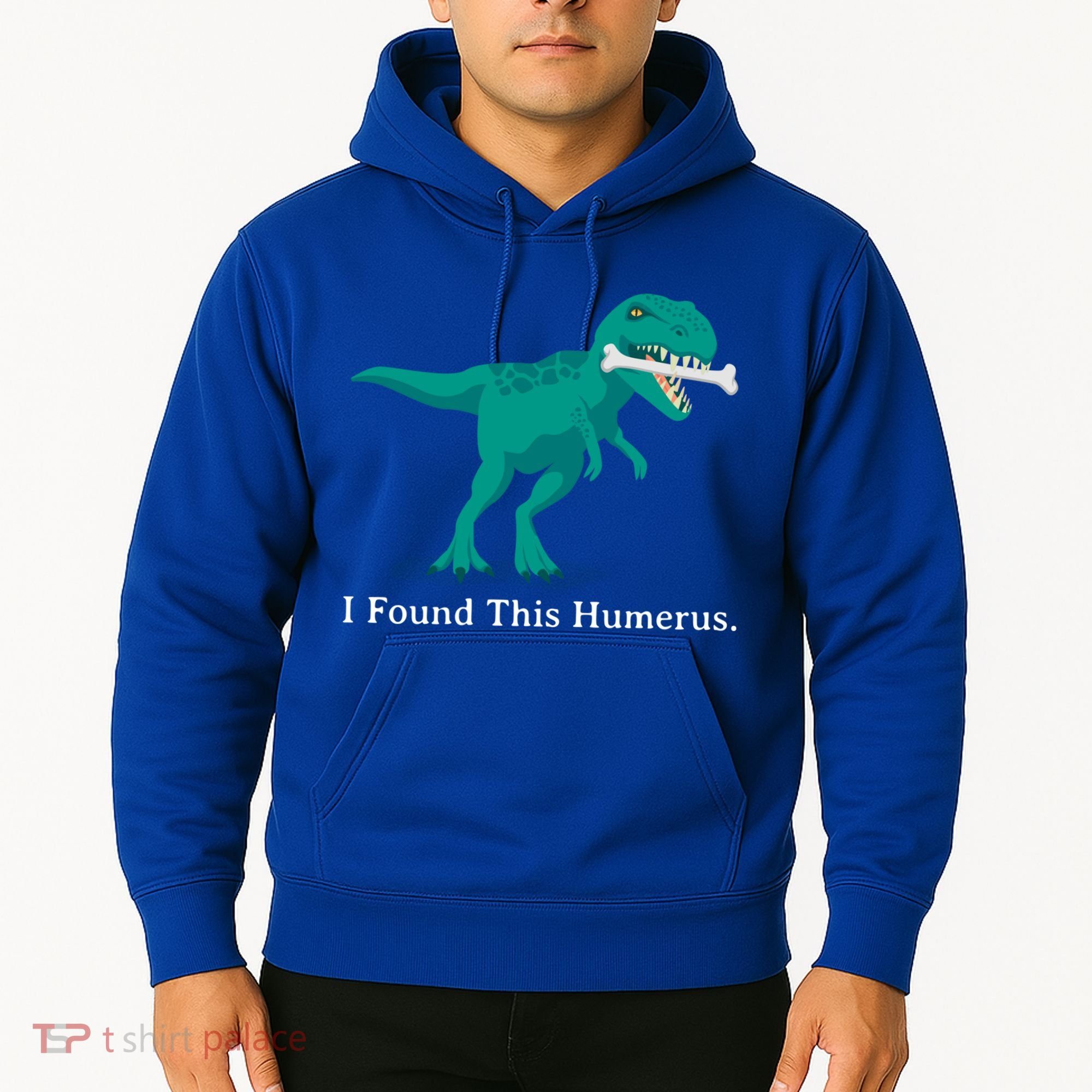 Funny Halloween Dinosaur I Found This Humerus Costume Gift Hoodie