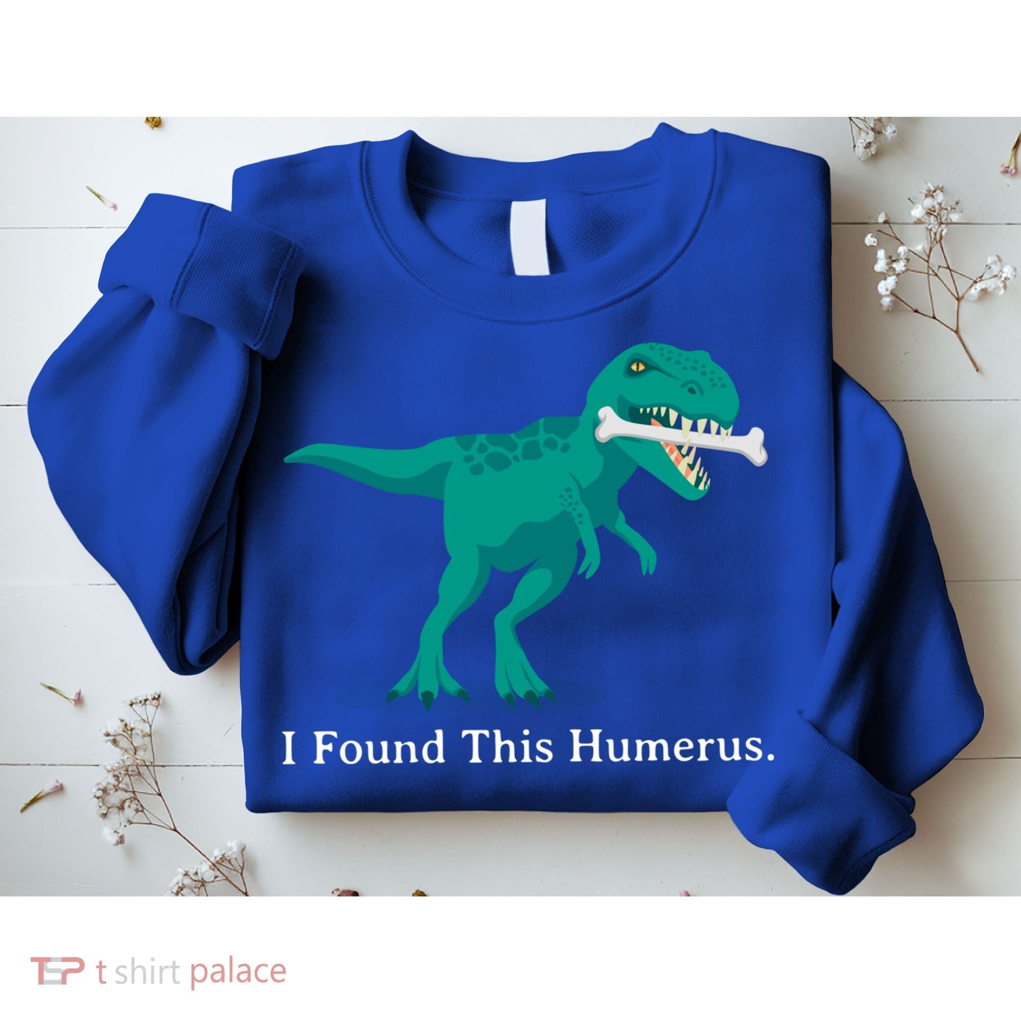 Funny Halloween Dinosaur I Found This Humerus Costume Gift Sweatshirt
