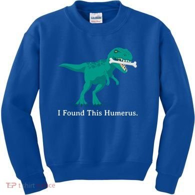 Funny Halloween Dinosaur I Found This Humerus Costume Gift Kids Sweatshirt