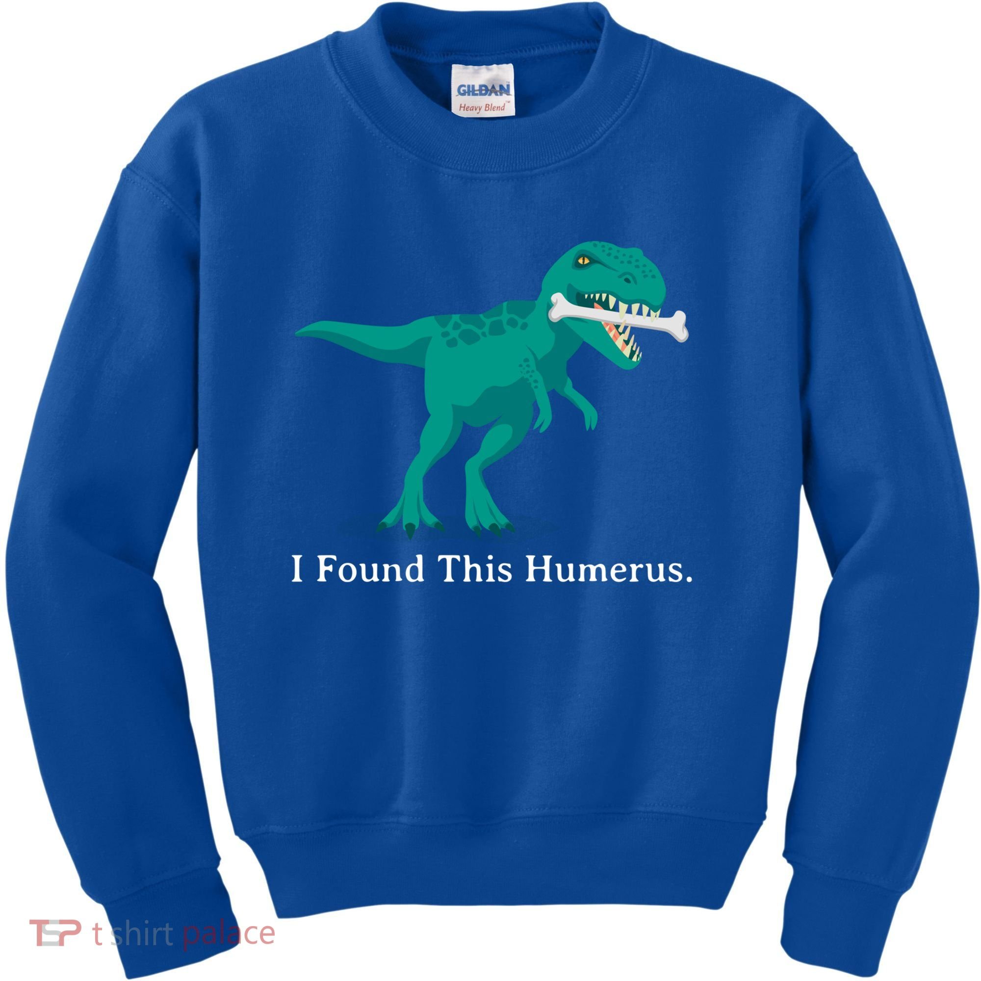 Funny Halloween Dinosaur I Found This Humerus Costume Gift Kids Sweatshirt